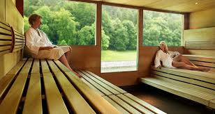 Terme Slovenia sauna