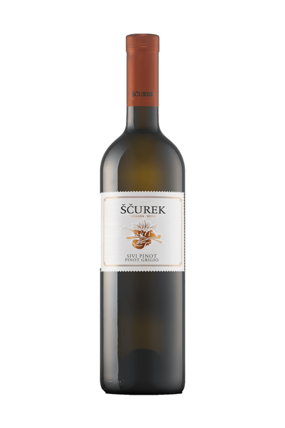 Sivi pinot Ščurek
