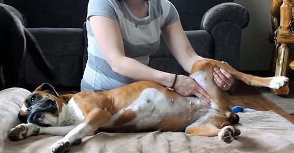 Preventivni pregledi