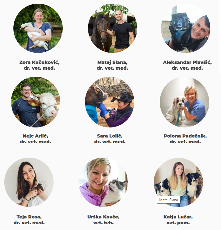 Zora Kuckovic, Matej Slana, Aleksandar Plavšić, Nejc Arlič, Sara Lolič, Polona Pedežnik, Teja Rosa, Urška Kovče in Katja Lužar