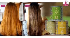 Preliv za lase forum Etnobotanika